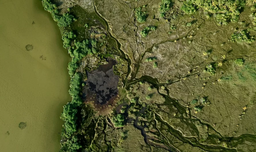 Understanding GeoTIFFs and Rendering Them in Leaflet